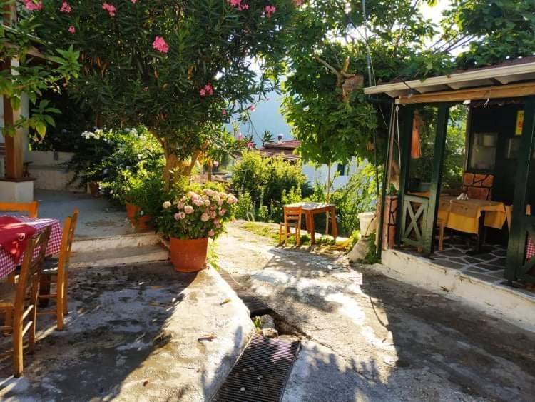Lefkada Villas Panoramic Katouna المظهر الخارجي الصورة